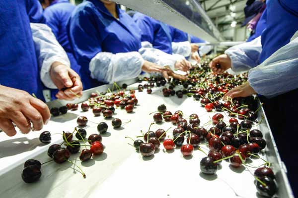 变风量空调系统空调机组故障检测与故障诊断方法研究_no.705