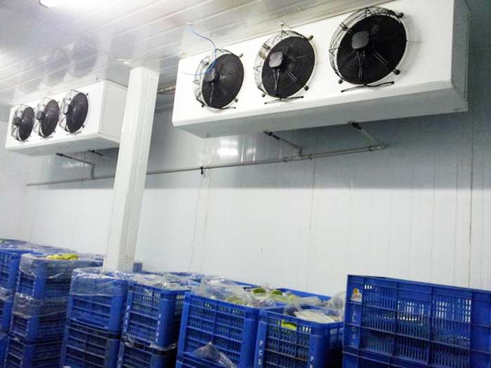 在超临界直接空气冷却装置中对冷凝水中的溶解氧进行高度分析和处理_no.928